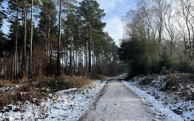 The Boot At Melbourne